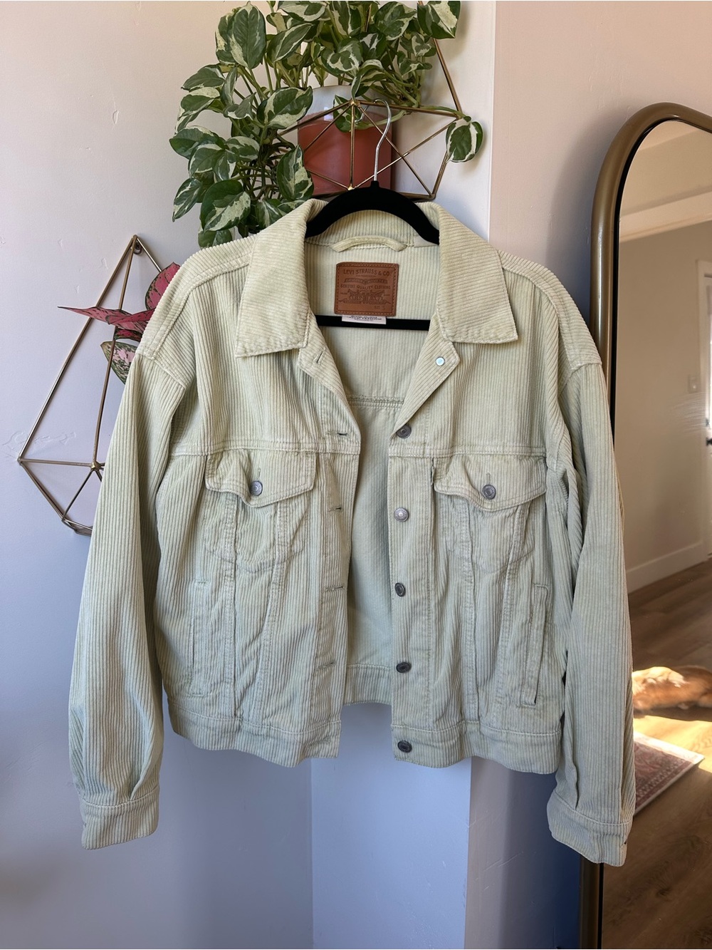 Levi's Sage Green Corduroy Truck Jacket